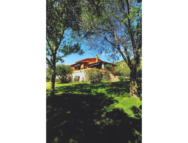 Anteprima foto 2 - Villa in Vendita a Olbia (Sassari)