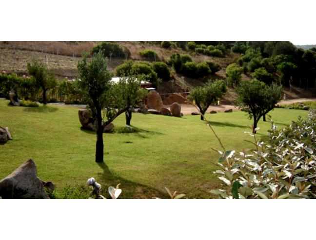 Anteprima foto 5 - Villa in Vendita a Olbia (Sassari)