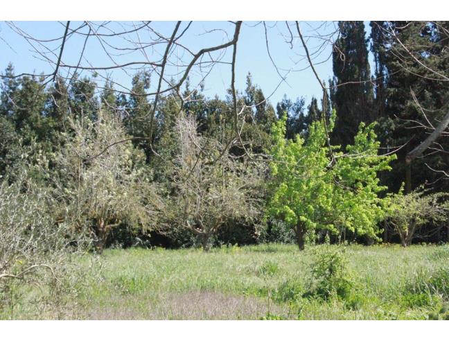 Anteprima foto 4 - Villa in Vendita a Olmedo (Sassari)