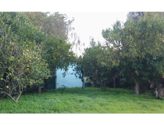 Anteprima foto 6 - Villa in Vendita a Olmedo (Sassari)