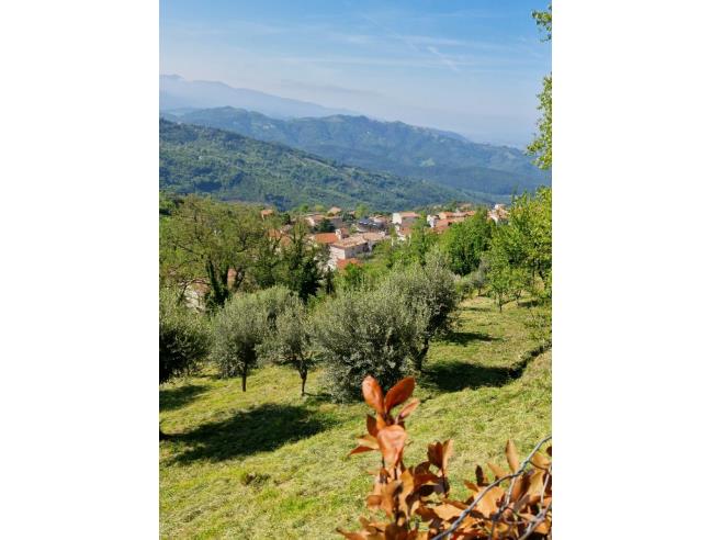 Anteprima foto 8 - Villa in Vendita a Orria - Piano Vetrale