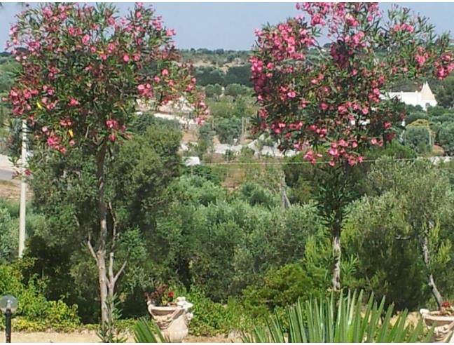 Anteprima foto 3 - Villa in Vendita a Ostuni (Brindisi)
