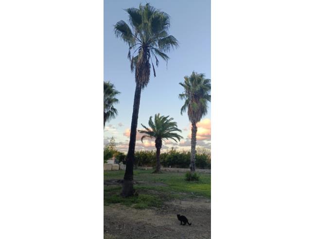 Anteprima foto 5 - Villa in Vendita a Otranto (Lecce)