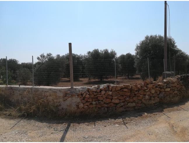 Anteprima foto 7 - Villa in Vendita a Palagianello (Taranto)