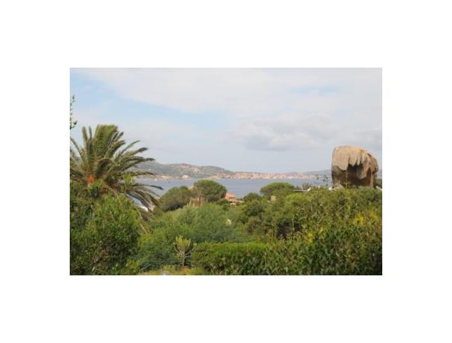 Anteprima foto 7 - Villa in Vendita a Palau (Sassari)