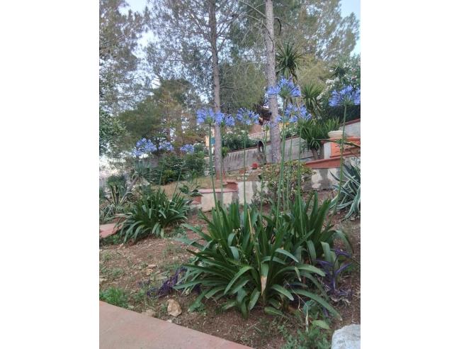 Anteprima foto 7 - Villa in Vendita a Palermo - Sferracavallo