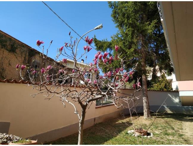 Anteprima foto 2 - Villa in Vendita a Penne (Pescara)