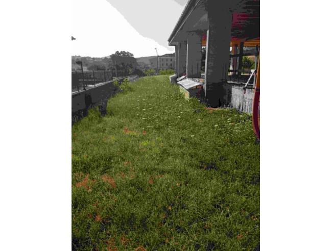 Anteprima foto 6 - Villa in Vendita a Pergola - Frazione Bellisio Solfare