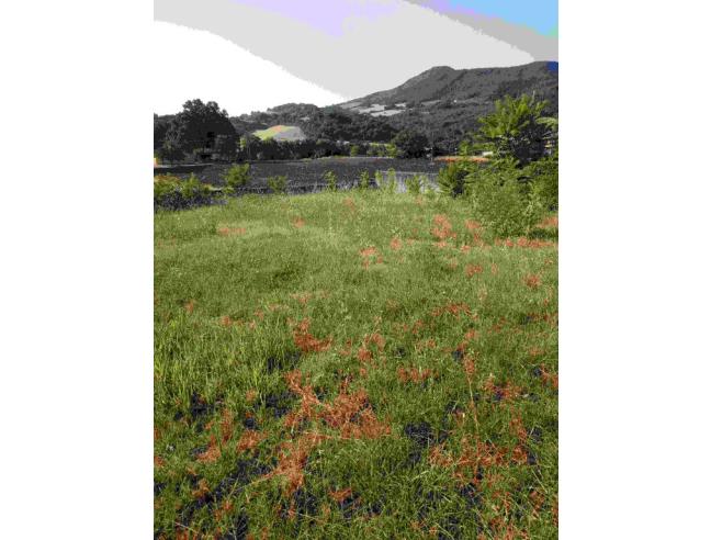 Anteprima foto 7 - Villa in Vendita a Pergola - Frazione Bellisio Solfare