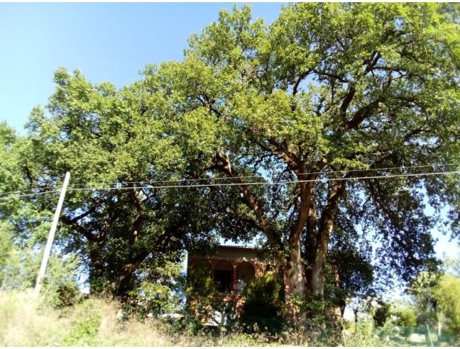 Anteprima foto 8 - Villa in Vendita a Perugia - Pianello