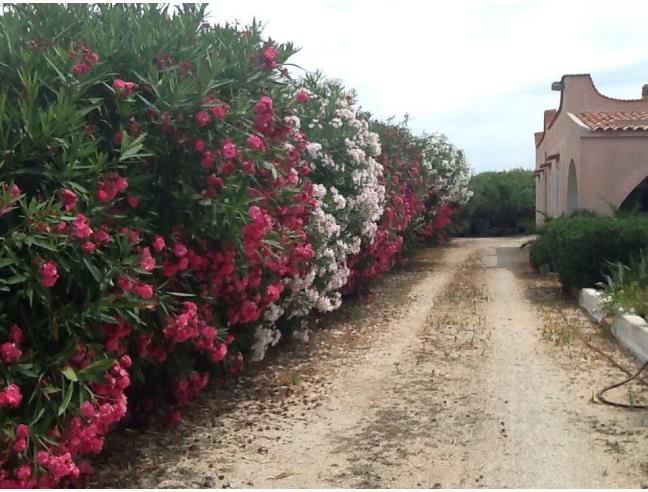 Anteprima foto 5 - Villa in Vendita a Petrosino (Trapani)