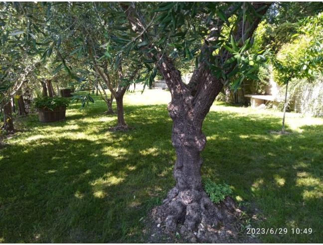 Anteprima foto 7 - Villa in Vendita a Piandimeleto - San Sisto