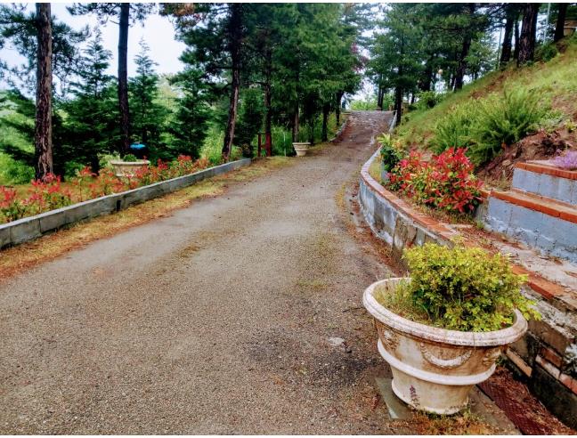 Anteprima foto 3 - Villa in Vendita a Pianoro (Bologna)