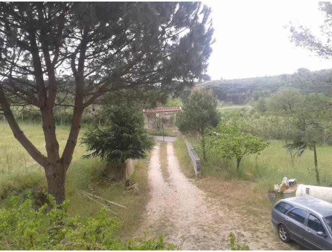 Anteprima foto 7 - Villa in Vendita a Piazza Armerina (Enna)