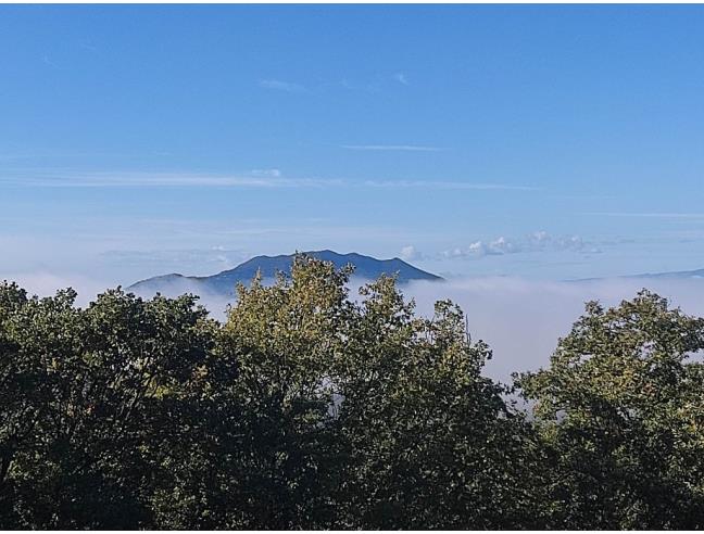 Anteprima foto 6 - Villa in Vendita a Poggio Mirteto - Poggio Mirteto Scalo