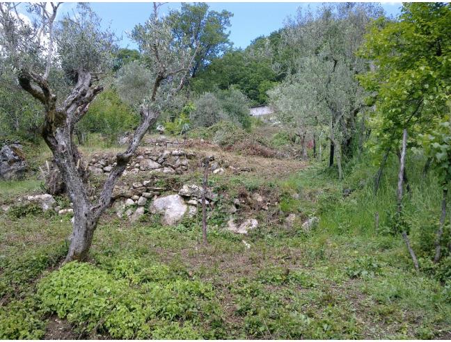 Anteprima foto 3 - Villa in Vendita a Pontelandolfo (Benevento)