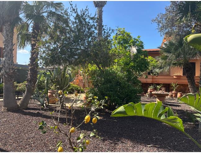 Anteprima foto 4 - Villa in Vendita a Porto Torres (Sassari)