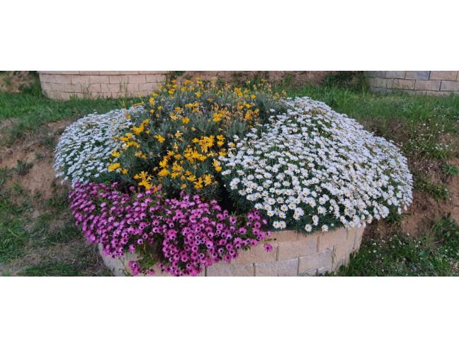 Anteprima foto 3 - Villa in Vendita a Potenza Picena - Frazione San Girio