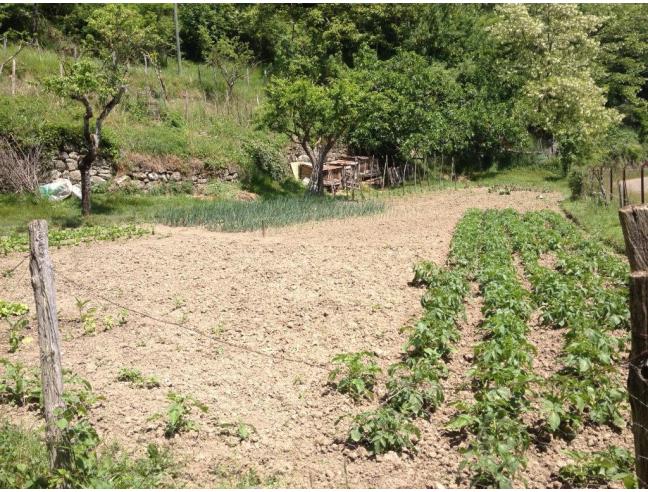 Anteprima foto 2 - Villa in Vendita a Pratovecchio Stia (Arezzo)