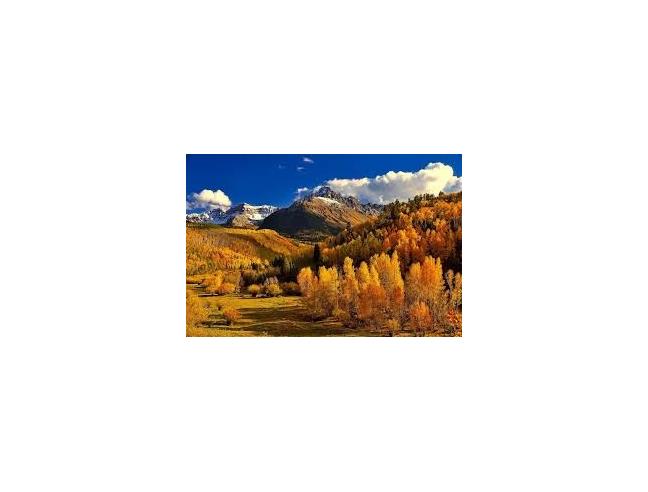 Anteprima foto 6 - Villa in Vendita a Pratovecchio Stia (Arezzo)