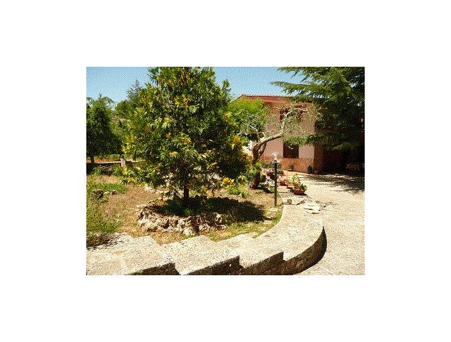 Anteprima foto 3 - Villa in Vendita a Putignano (Bari)