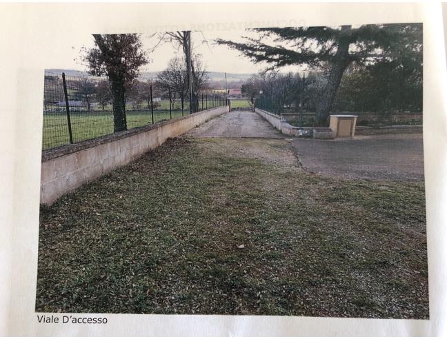 Anteprima foto 4 - Villa in Vendita a Putignano (Bari)