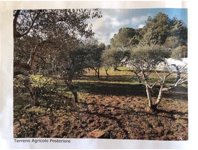 Anteprima foto 8 - Villa in Vendita a Putignano (Bari)