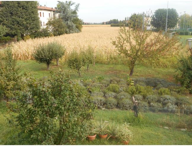 Anteprima foto 8 - Villa in Vendita a Reggio Emilia - Sesso