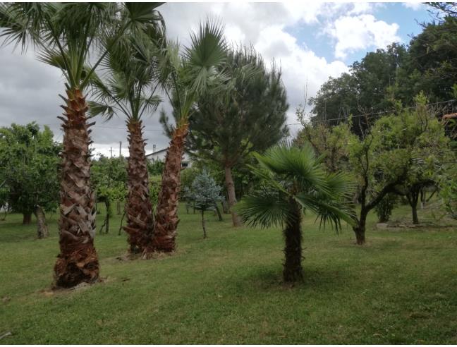 Anteprima foto 2 - Villa in Vendita a Rende - Malvitani