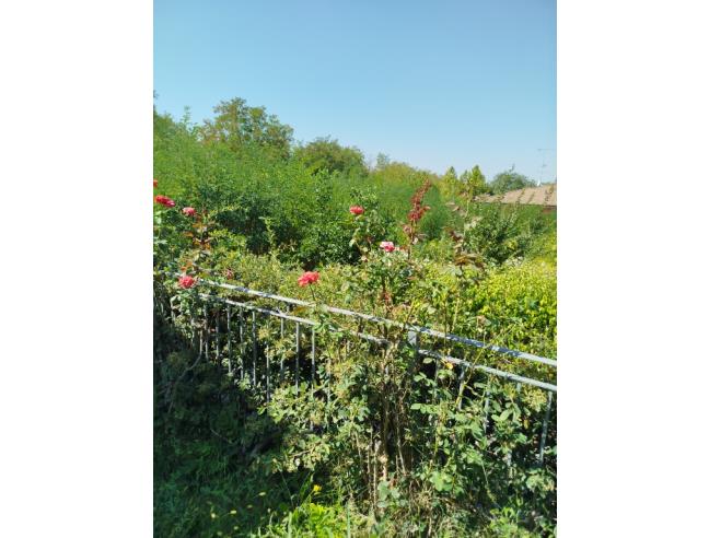 Anteprima foto 7 - Villa in Vendita a Retorbido (Pavia)