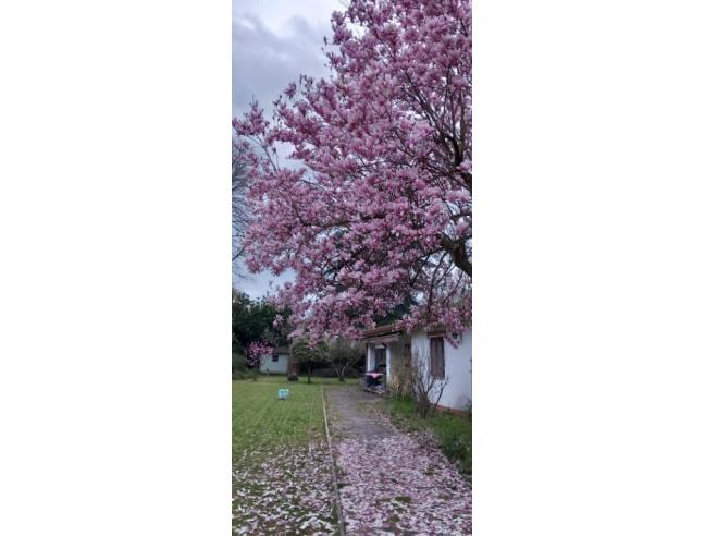 Anteprima foto 2 - Villa in Vendita a Rignano Flaminio - Montelarco