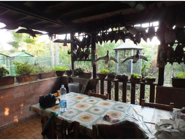 Anteprima foto 7 - Villa in Vendita a Roma - Casalpalocco