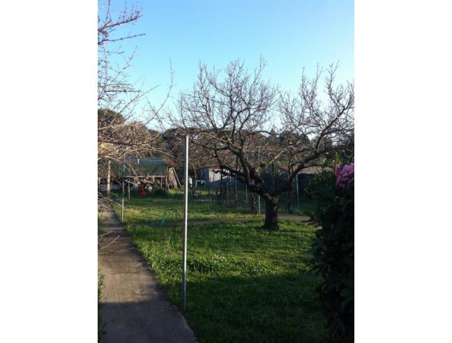 Anteprima foto 3 - Villa in Vendita a Rosignano Marittimo - Rosignano Solvay