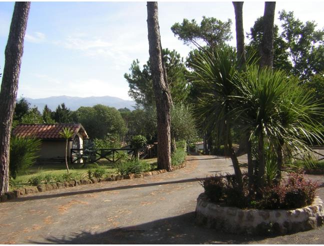 Anteprima foto 6 - Villa in Vendita a San Cesareo (Roma)