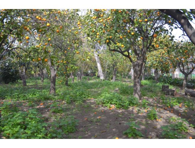 Anteprima foto 6 - Villa in Vendita a San Giovanni la Punta (Catania)