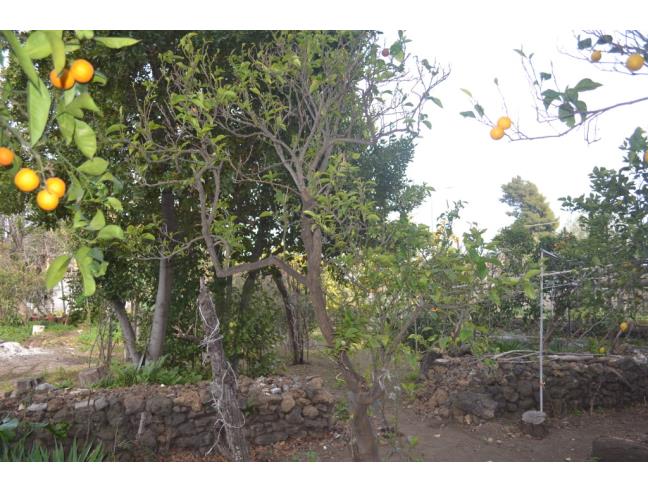 Anteprima foto 7 - Villa in Vendita a San Giovanni la Punta (Catania)