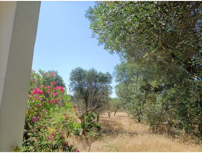 Anteprima foto 1 - Villa in Vendita a San Marzano di San Giuseppe (Taranto)