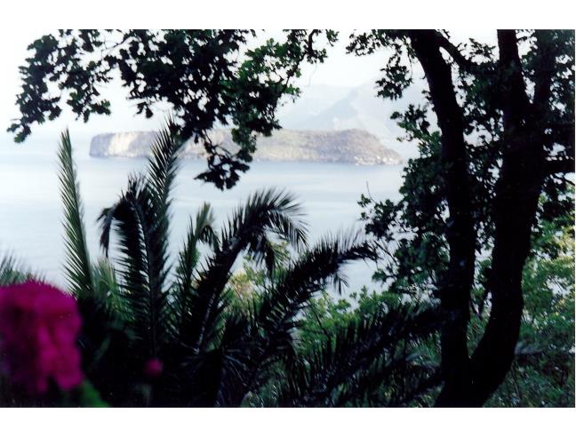 Anteprima foto 4 - Villa in Vendita a San Nicola Arcella (Cosenza)