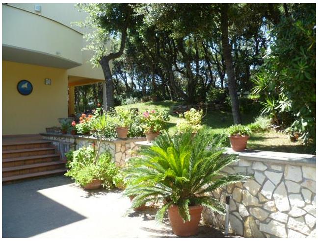 Anteprima foto 3 - Villa in Vendita a San Vincenzo (Livorno)