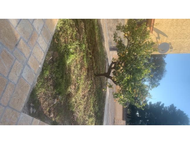 Anteprima foto 7 - Villa in Vendita a San Vito dei Normanni (Brindisi)