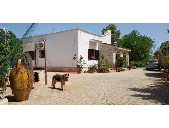 Anteprima foto 7 - Villa in Vendita a San Vito dei Normanni (Brindisi)