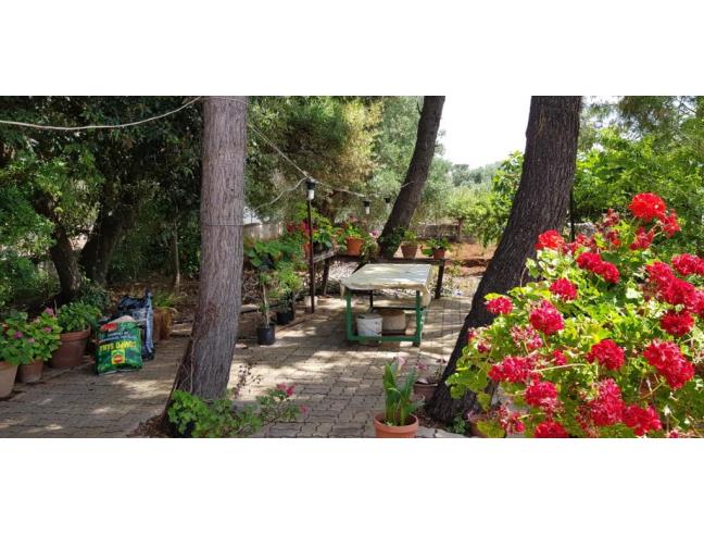 Anteprima foto 8 - Villa in Vendita a San Vito dei Normanni (Brindisi)