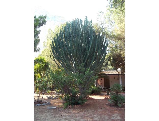 Anteprima foto 2 - Villa in Vendita a San Vito Lo Capo (Trapani)