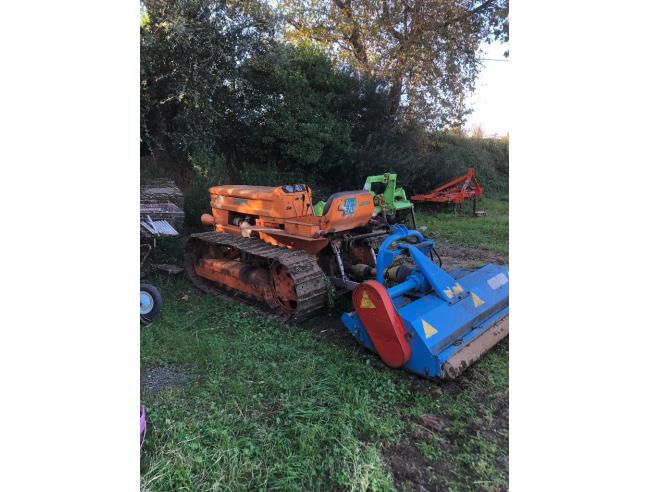 Anteprima foto 3 - Villa in Vendita a Santa Domenica Talao (Cosenza)