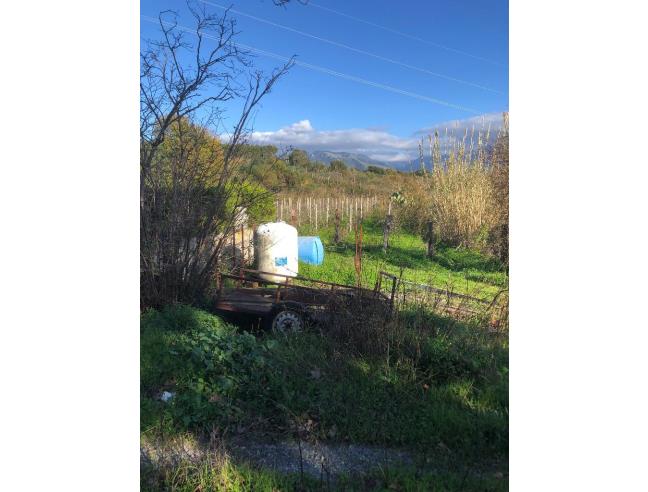 Anteprima foto 7 - Villa in Vendita a Santa Domenica Talao (Cosenza)