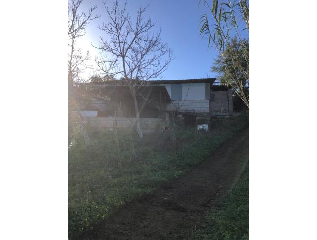 Anteprima foto 8 - Villa in Vendita a Santa Domenica Talao (Cosenza)