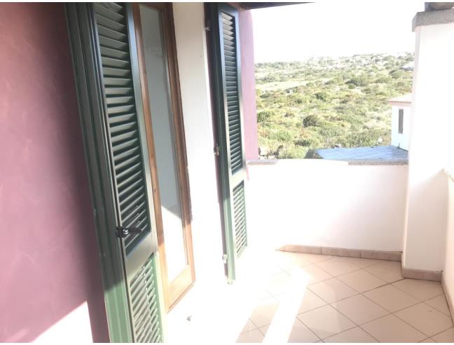 Anteprima foto 7 - Villa in Vendita a Santa Teresa Gallura (Sassari)