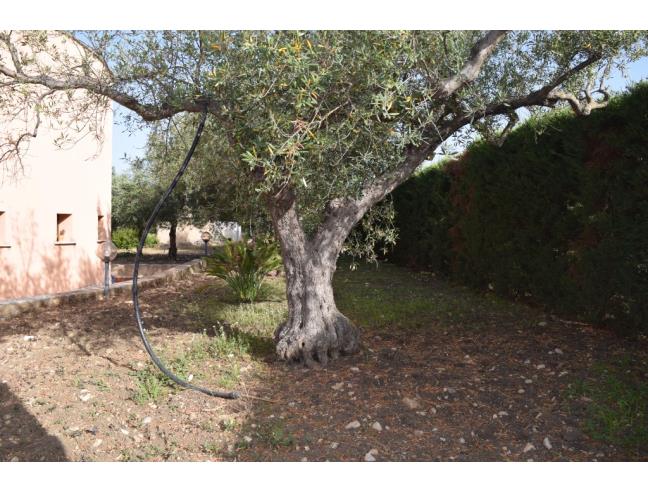 Anteprima foto 3 - Villa in Vendita a Sciacca (Agrigento)