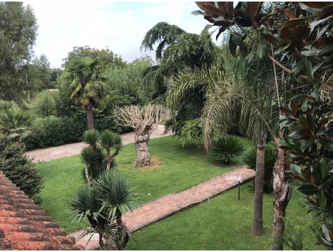 Anteprima foto 3 - Villa in Vendita a Scisciano (Napoli)