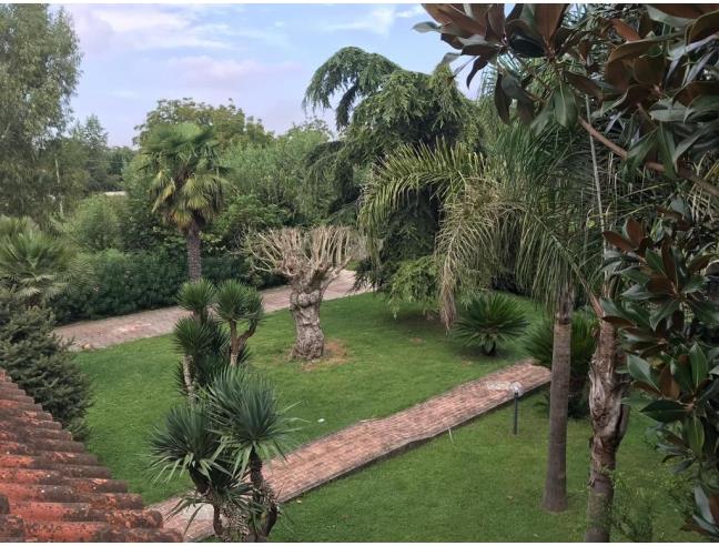 Anteprima foto 5 - Villa in Vendita a Scisciano (Napoli)